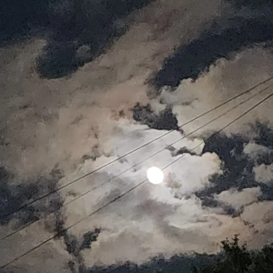 ClumsyVoice8865의 과거 감J