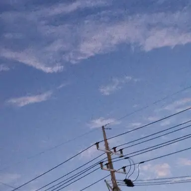 Profile image of 김여우