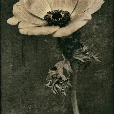 Profile image of 박원빈