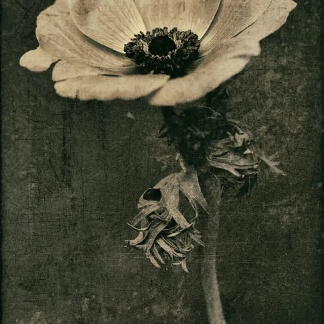 StockyJoke6745의 박원빈