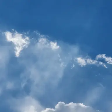 Profile image of 우유참치