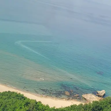 Profile image of 유기사