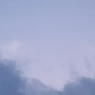 Profile image of 준브레드