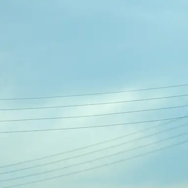 Profile image of 벨키