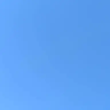 Profile image of 武装探偵社