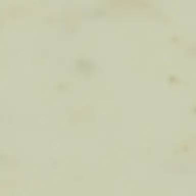 Profile image of 한동민