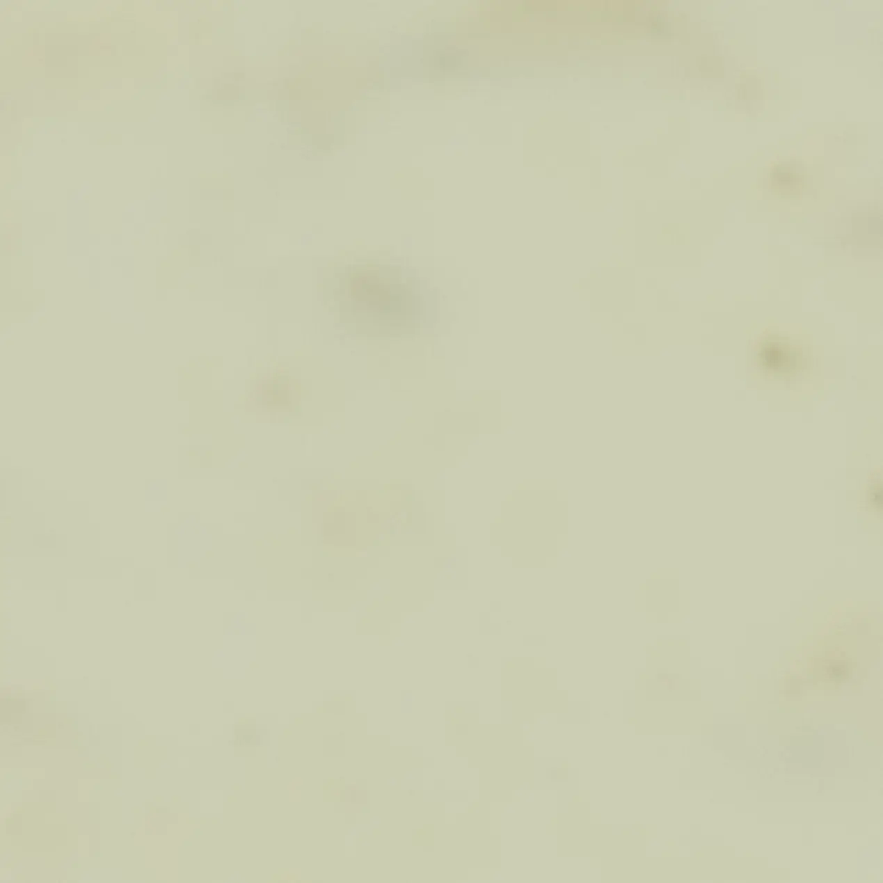 SevereClean2493의 예약 메시지.