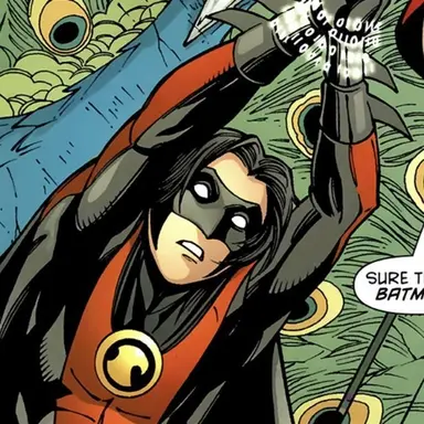 Profile image of Tim drake