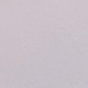 전원우