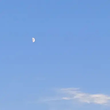 Profile image of ファイブ