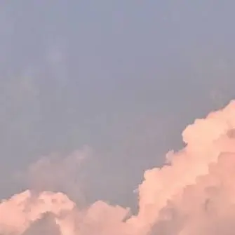 Profile image of ソンハ