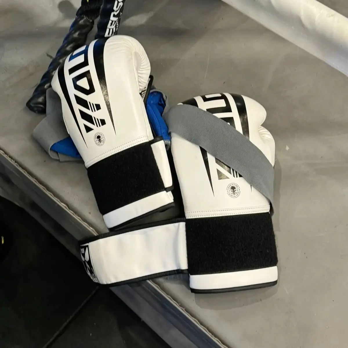 bebe._.can의 유원오