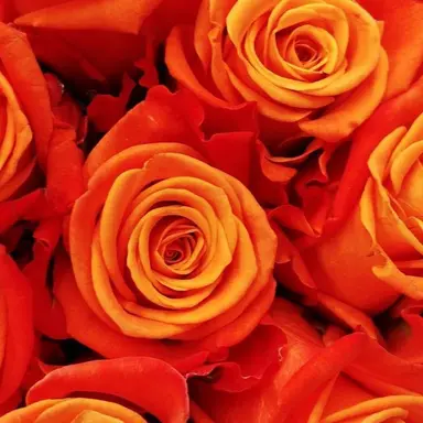 Profile image of 박덕개