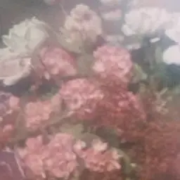 Profile image of 大森元貴