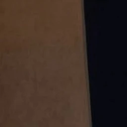 김도현