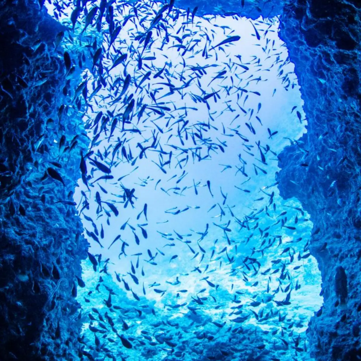 SubtleBeads4813의 異能力者の学園で