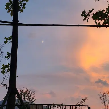 Profile image of 오해원