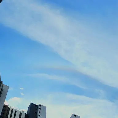 Profile image of 김지우