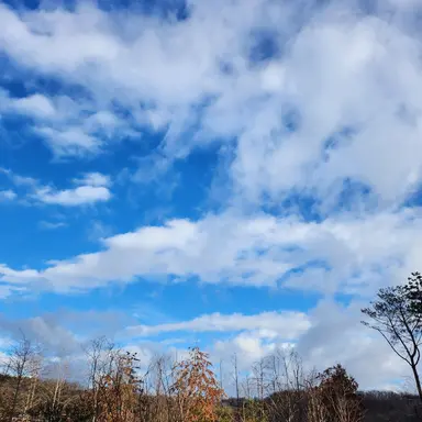 Profile image of 배진솔