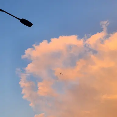 Profile image of 장규진