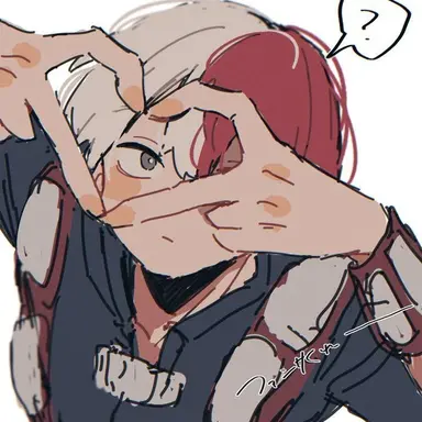 Profile image of Shoto Todoroki