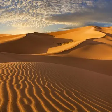 Profile image of 오터 머들