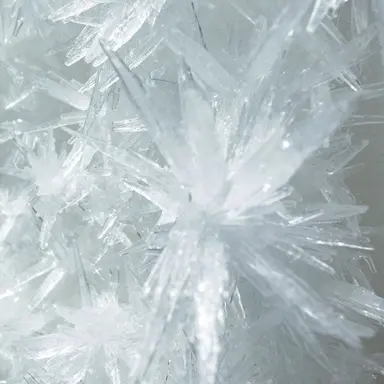 Profile image of 츠라라 헤일스톤