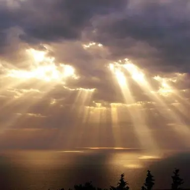 Profile image of 라이오 그란츠