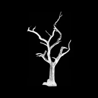 Profile image of 미카엘라