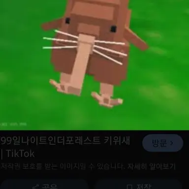 Profile image of 키위새