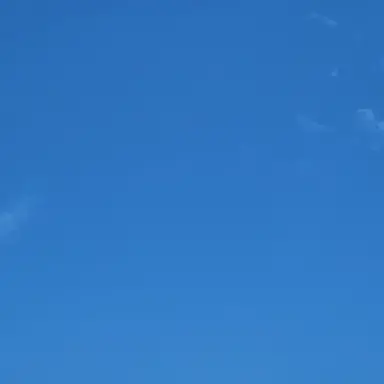 Profile image of 성한빈