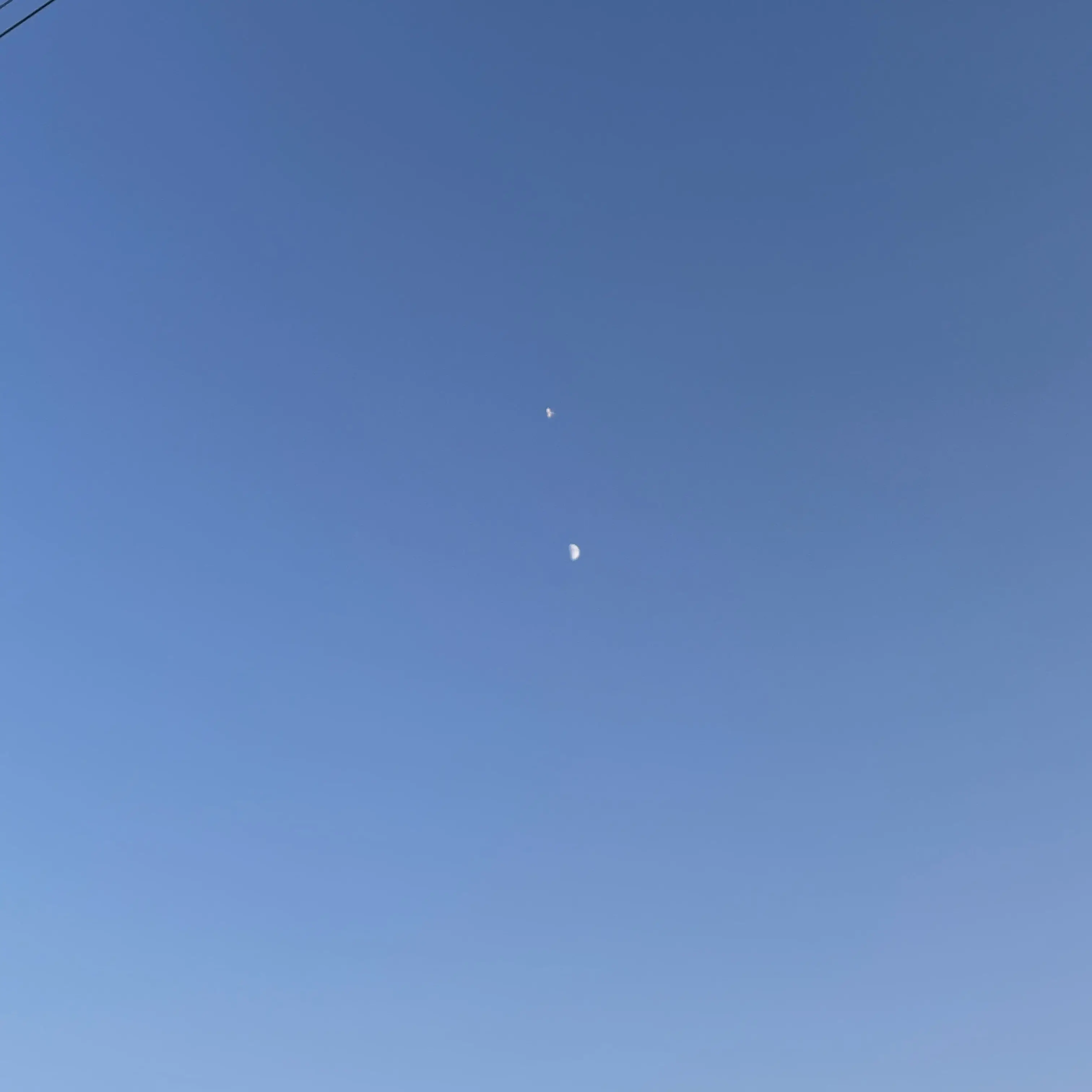 FaintPiano8469의 넌 너무 쓸데없이 착해서 문제야...