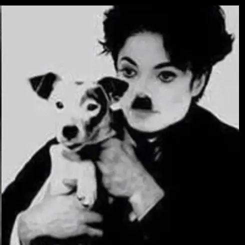 RazzyJazzy0916의 Michael Jackson or CatBoy?!?