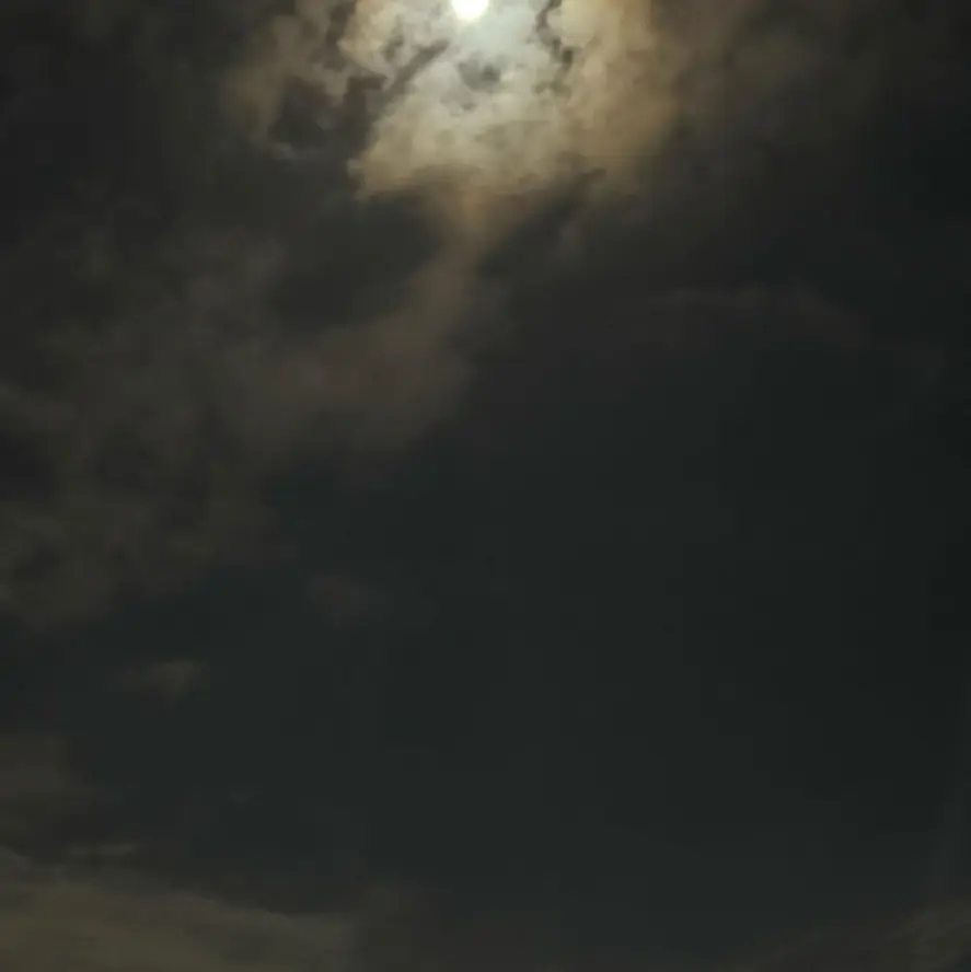 StrictWrist9914의 주연