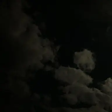 Profile image of 유지민