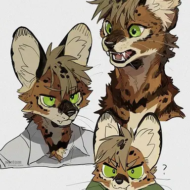 Profile image of Serival Toron Rok