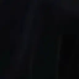 Profile image of ウィジュ