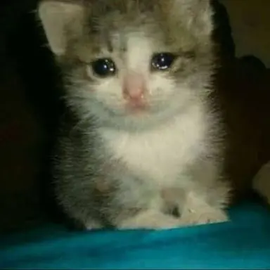 Profile image of 김준우