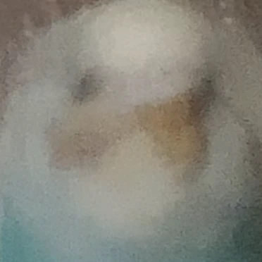 지영