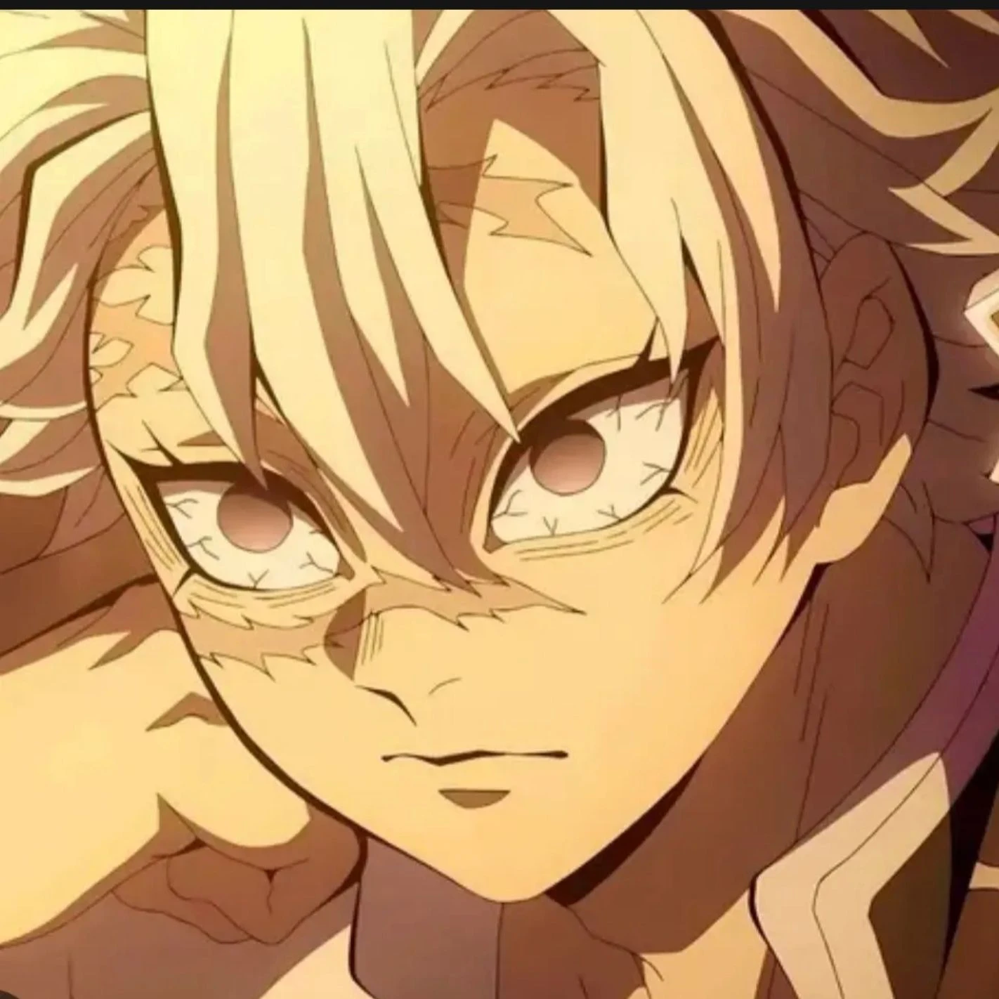 시가즈가와 사네미