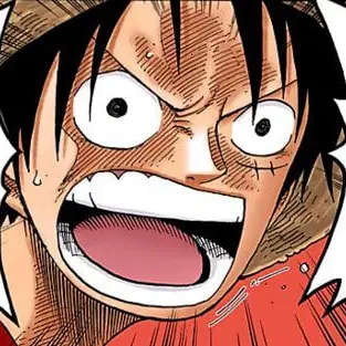 Profile image of ルフィ