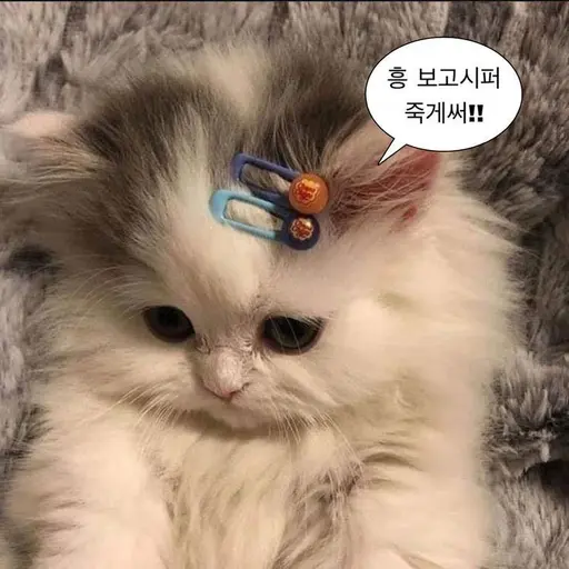 InlandFear7665의 김정후