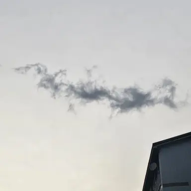 Profile image of 김삼성