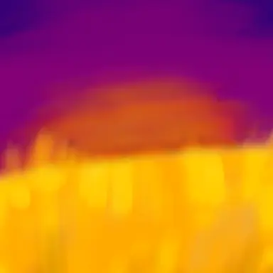 Profile image of 耀