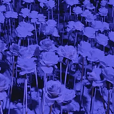 Profile image of 단