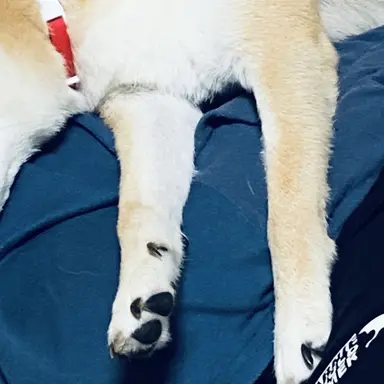 Profile image of 大倉空人