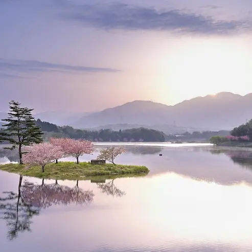 _Wistya의 나만의 세계