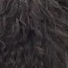 Profile image of 어반로어