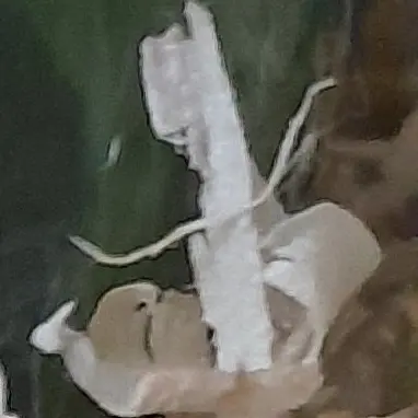 Profile image of 박늑대