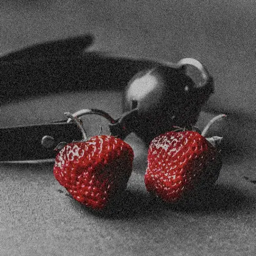 msg_1113의 FE̶V̶ER͞ ͟͞C͞O̶DE—_